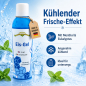Preview: Eis-Gel 200 ml in der Flasche